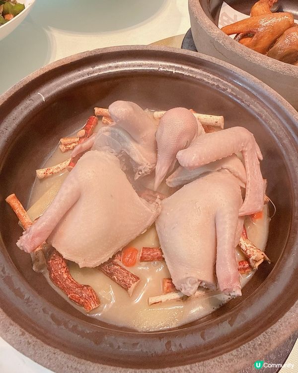 🇨🇳深圳人氣乳鴿專門店| 多款爆汁乳鴿食法,邊款最好食 ?