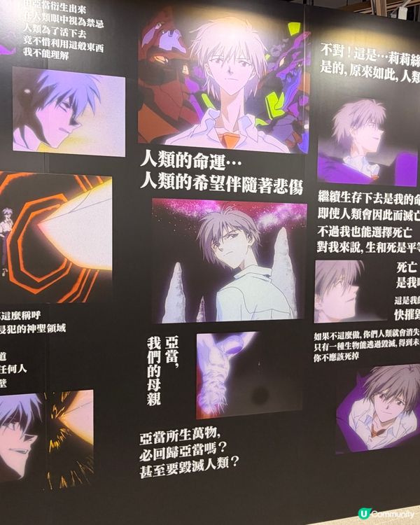 EVA迷必去❗️渚薰展登陸香港❗️🕊️