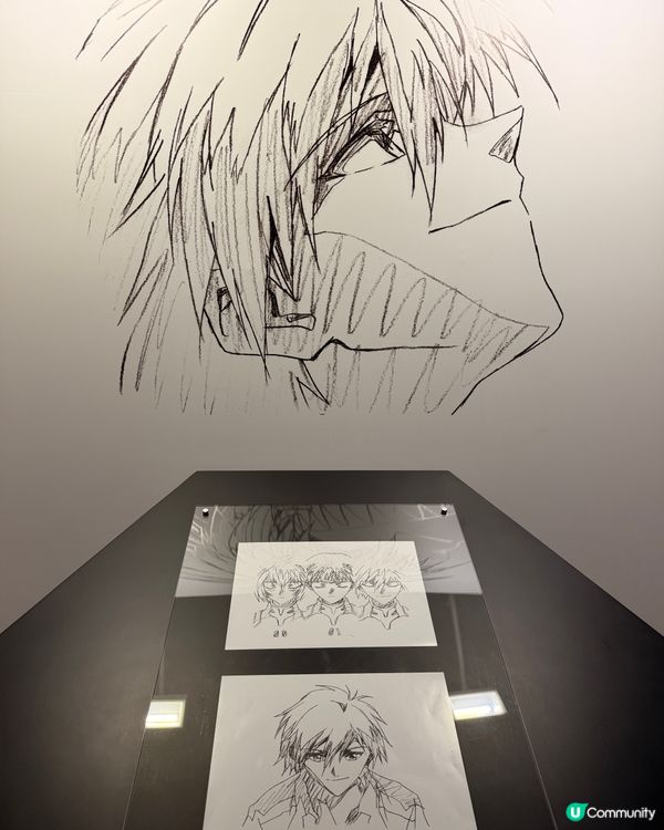 EVA迷必去❗️渚薰展登陸香港❗️🕊️