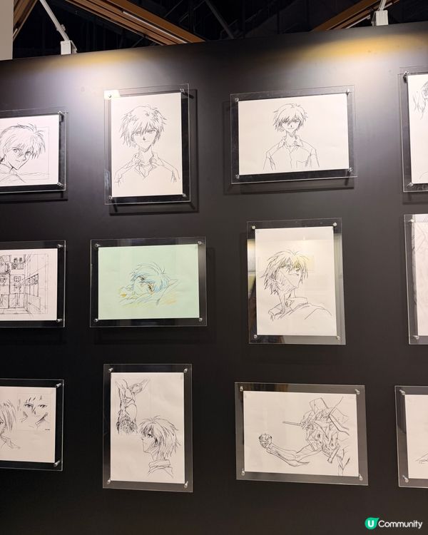 EVA迷必去❗️渚薰展登陸香港❗️🕊️