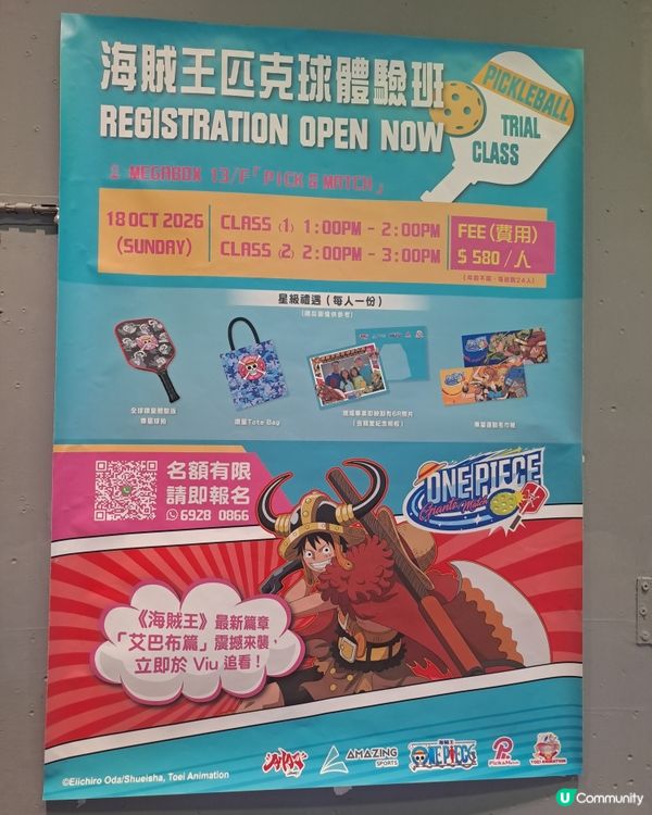 海賊王x匹克球聯乘！🏴‍☠️