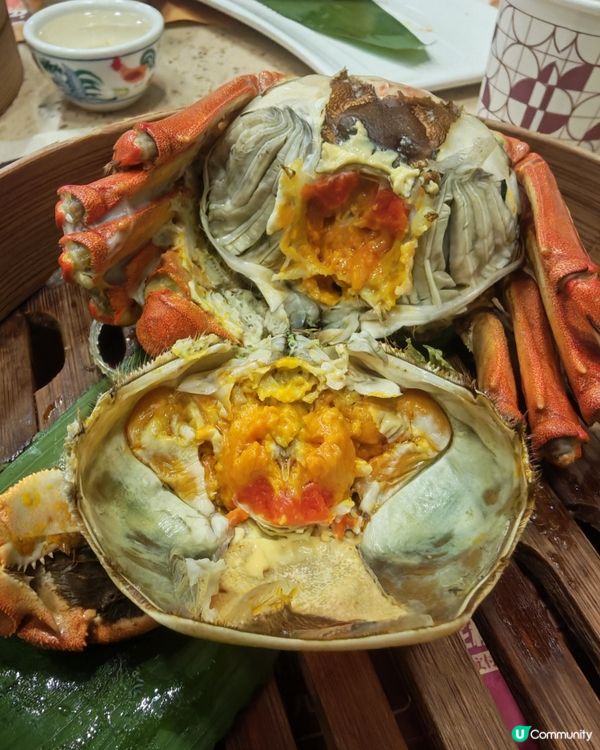 秋日限定滋味｜點都德歎大閘蟹，一家人食足🦀