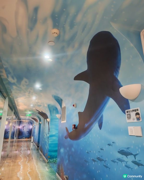 珠海親子住宿推薦｜海洋密碼美宿（橫琴口岸店）：探險者號波波池...