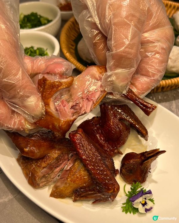 深圳必試順德公豬肚雞🍲