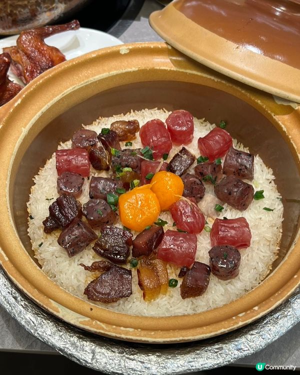 深圳必試順德公豬肚雞🍲