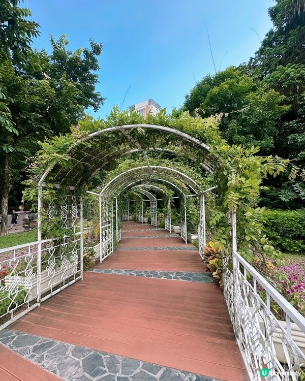 九龍公園實境解謎親子遊🧩