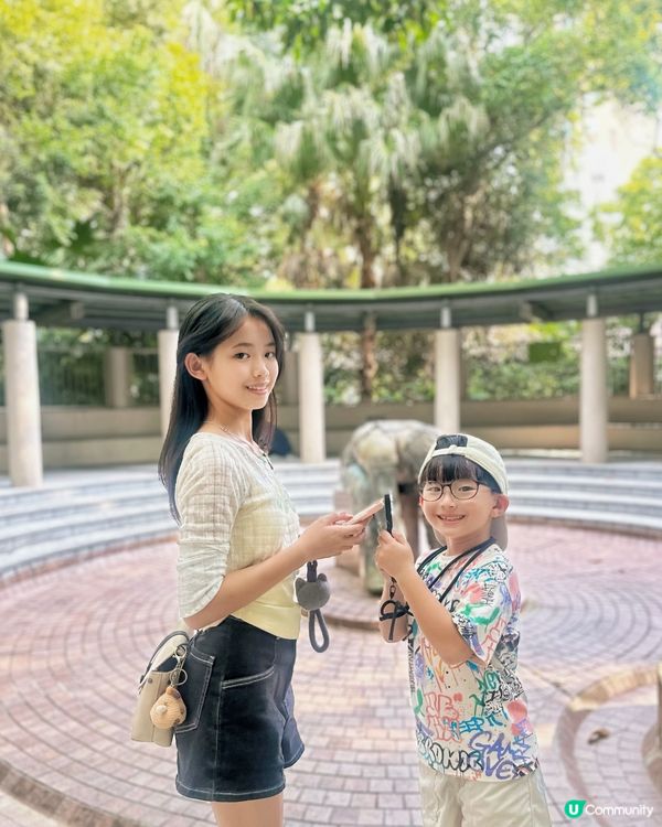 九龍公園實境解謎親子遊🧩
