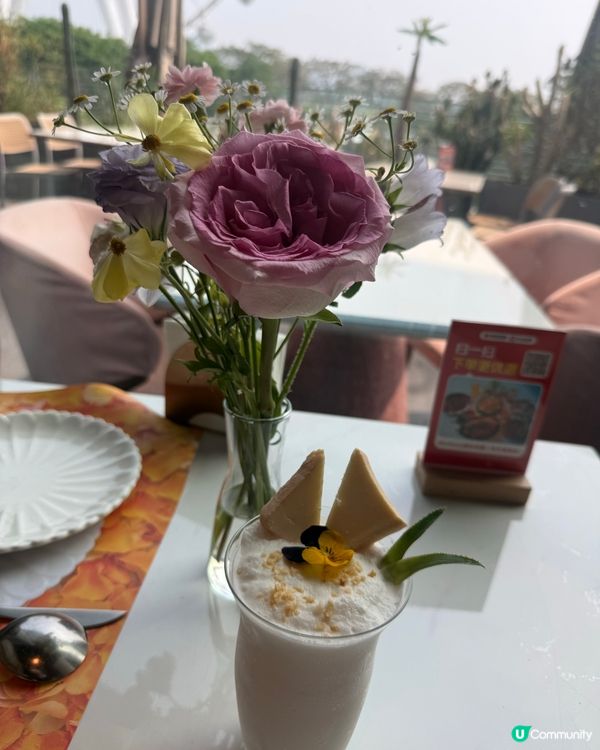 【深圳美食】超浪漫夢幻粉紅花瓣秘境與岩洞餐廳！