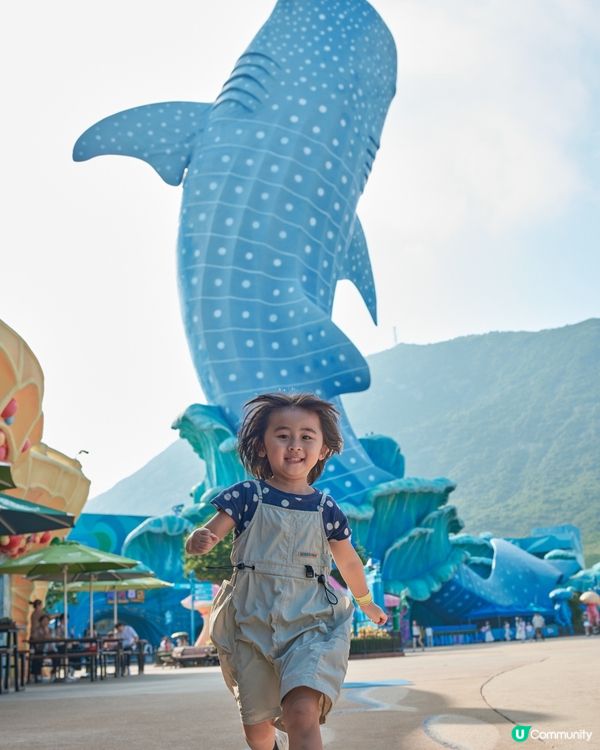 珠海長隆旅拍