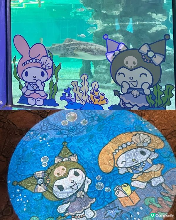 𝓢𝓪𝓷𝓻𝓲𝓸 x 海洋公園 🎀✨