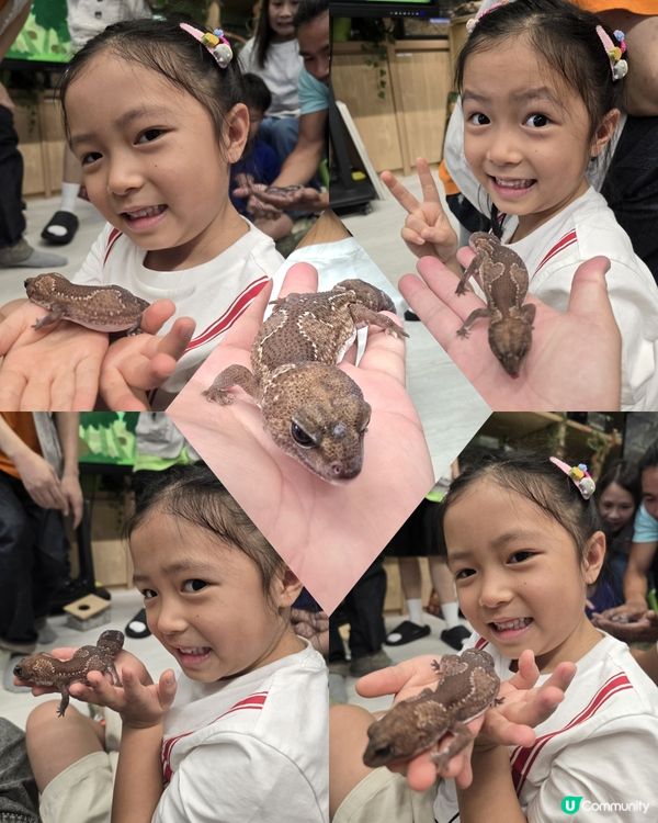 動物奇遇記 🦎🐊🐇🐹🐚
