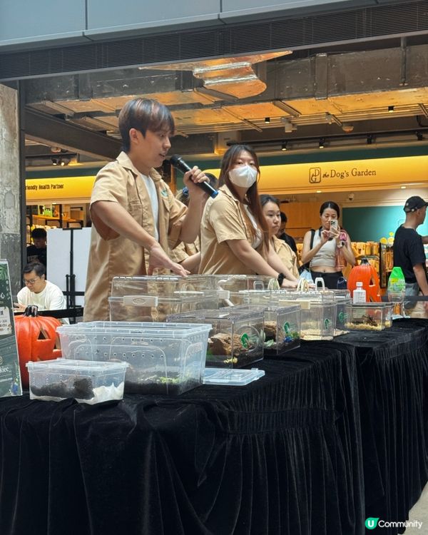 好玩親子活動 ｜🎃南豐紗廠萬聖節：奇蟲物語 🕷️✨