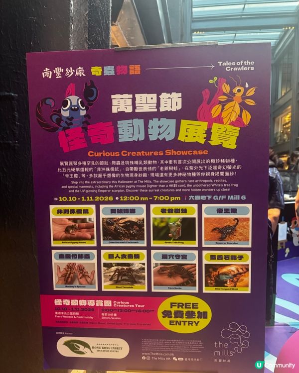 好玩親子活動 ｜🎃南豐紗廠萬聖節：奇蟲物語 🕷️✨