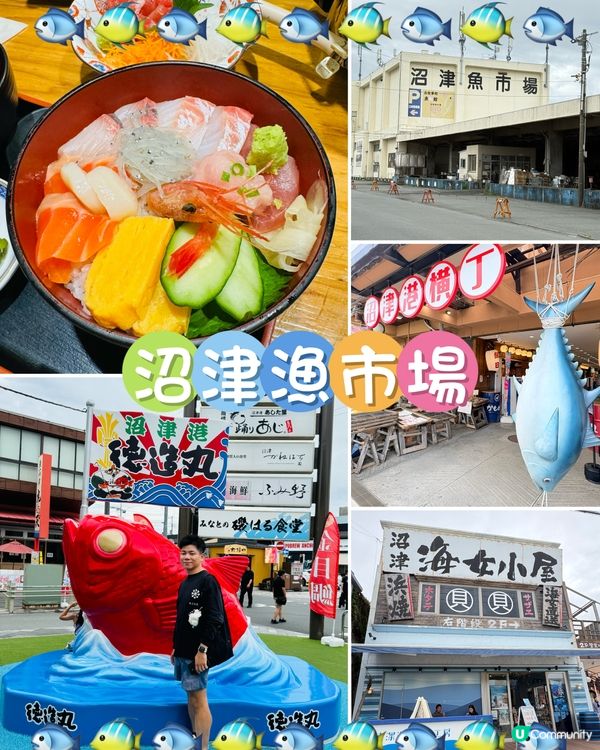 沼津魚市場：富士山腳下的海鮮天堂，,有得食､有得玩､有得睇