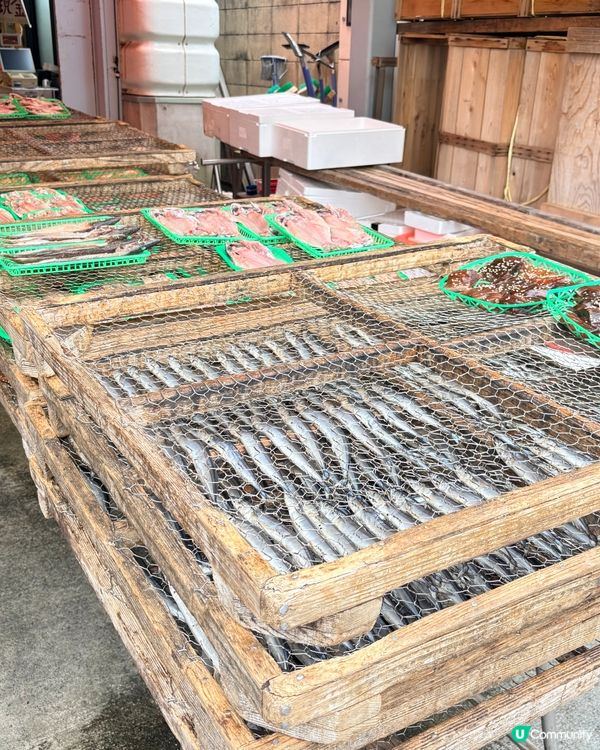 沼津魚市場：富士山腳下的海鮮天堂，,有得食､有得玩､有得睇