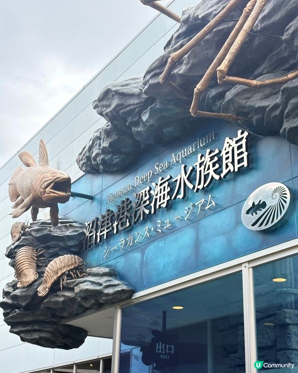 沼津魚市場：富士山腳下的海鮮天堂，,有得食､有得玩､有得睇