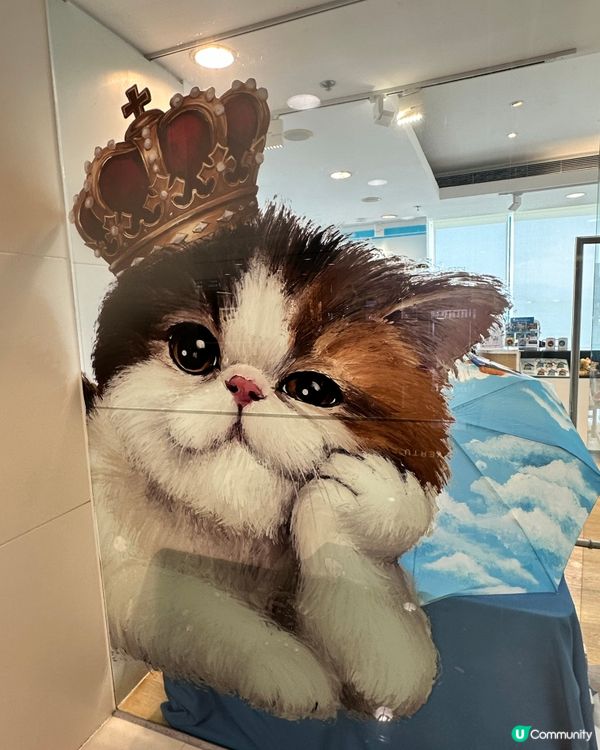 海港城路過｜被托腮貓治癒的一刻🐱