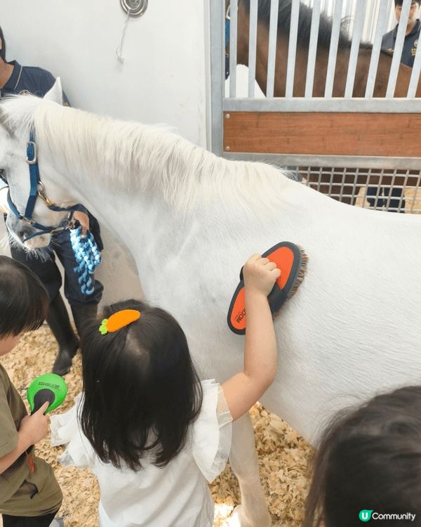 🐴 景點與活動介紹