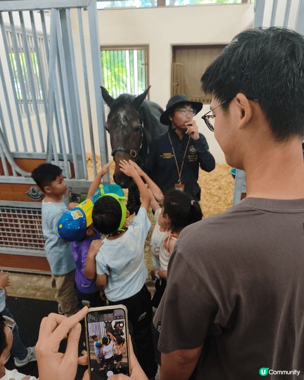 🐴 景點與活動介紹
