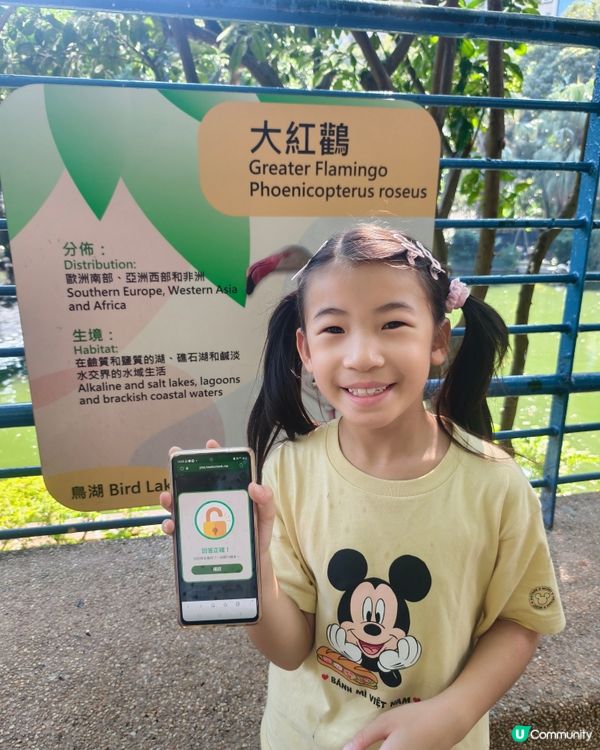 [優惠碼分享］九龍公園實境解謎🌳好玩有趣！