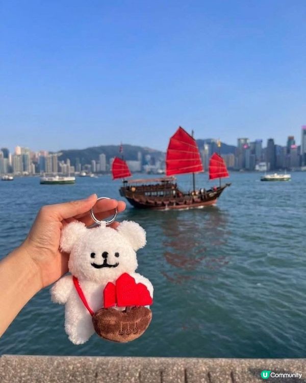 線條小狗登陸香港🐶