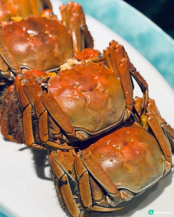 个園竹語全新推出六両大閘蟹宴！$598食盡八道淮揚蟹饌／鮮拆蟹粉燴魚翅／蟹粉芙蓉牡丹蝦球                                                    