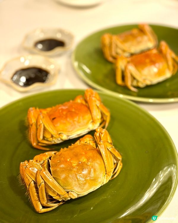 ✨秋風蟹韻🦀金秋大閘蟹盛宴