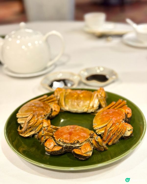 ✨秋風蟹韻🦀金秋大閘蟹盛宴