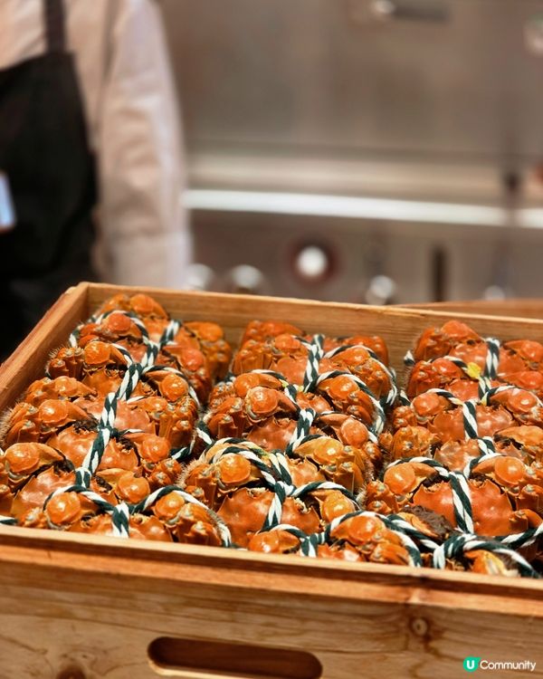 秋季限定「金秋豐盛海鮮蟹宴」！大閘蟹、任食龍蝦、無限添食