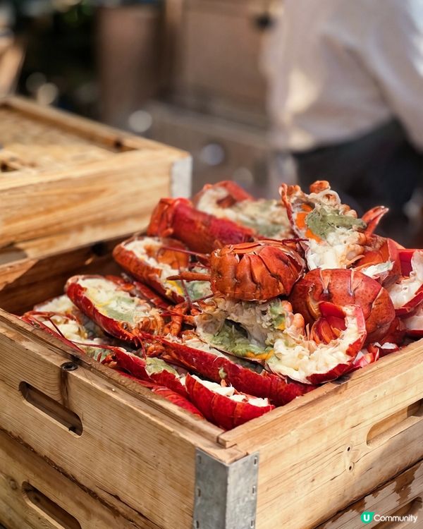 秋季限定「金秋豐盛海鮮蟹宴」！大閘蟹、任食龍蝦、無限添食
