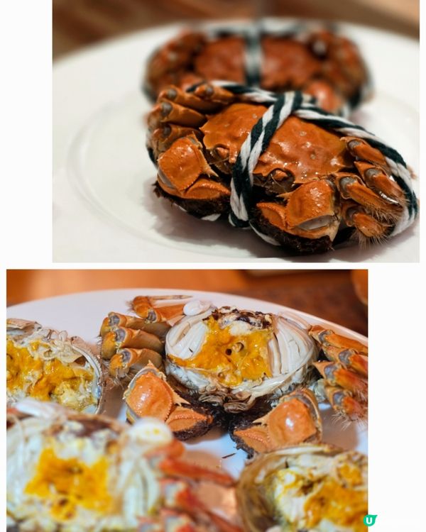 秋季限定「金秋豐盛海鮮蟹宴」！大閘蟹、任食龍蝦、無限添食