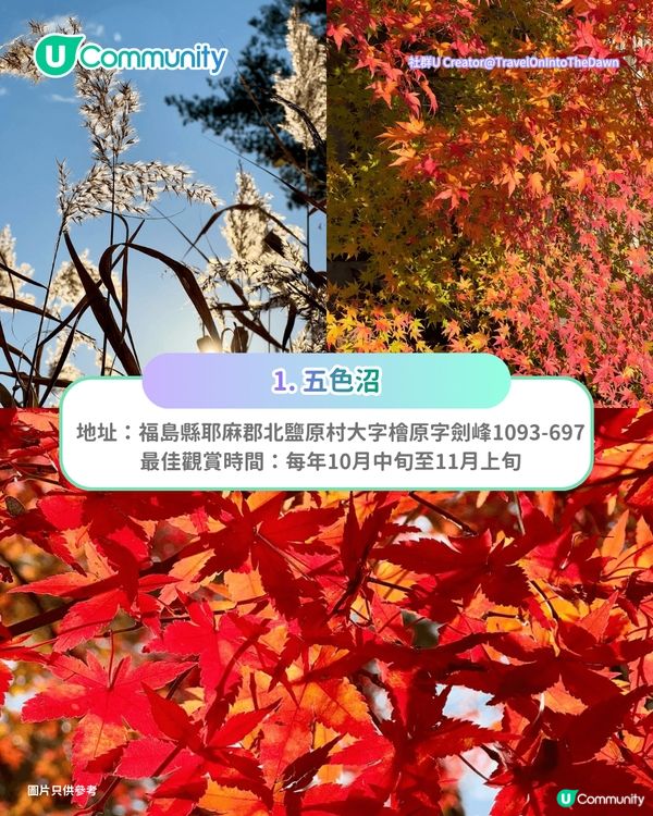【日本賞楓2026】日本必去10大紅葉名所🍁京都／東北青森／九州／北陸 附最佳觀賞時間