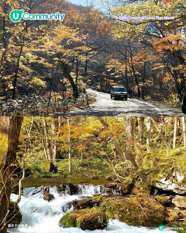 【日本賞楓2026】日本必去10大紅葉名所🍁京都／東北青森／九州／北陸 附最佳觀賞時間