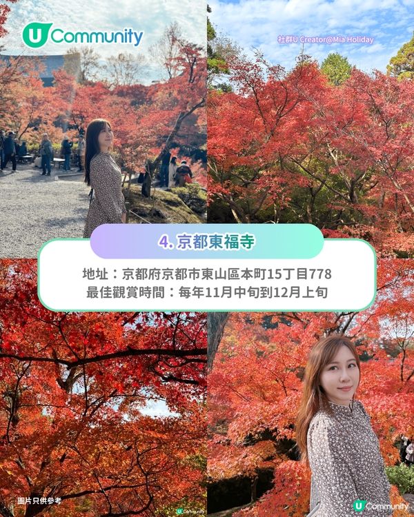 【日本賞楓2026】日本必去10大紅葉名所🍁京都／東北青森／九州／北陸 附最佳觀賞時間