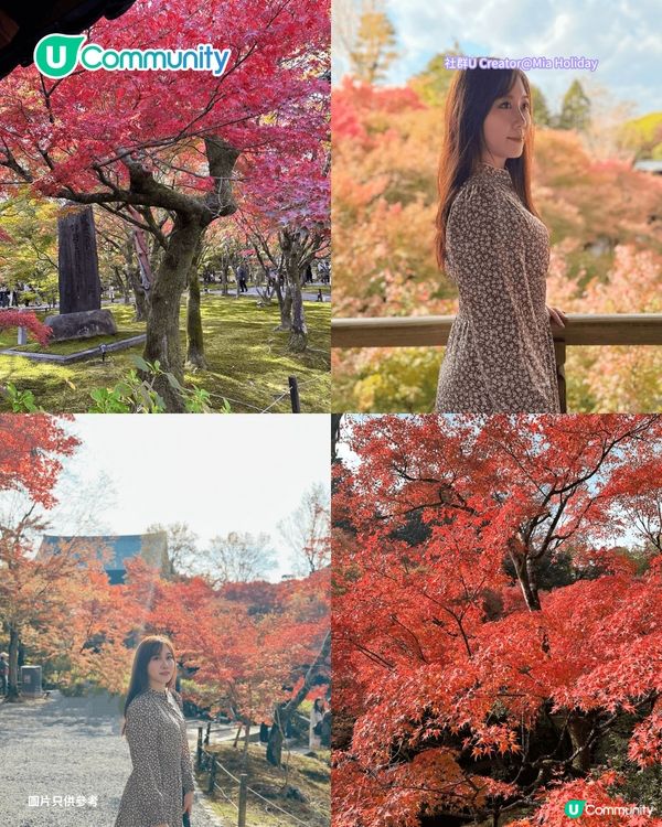 【日本賞楓2026】日本必去10大紅葉名所🍁京都／東北青森／九州／北陸 附最佳觀賞時間