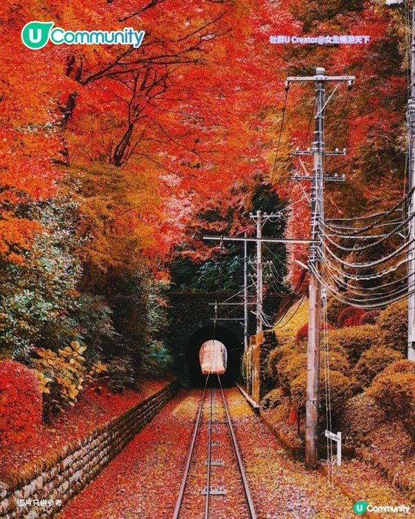 【日本賞楓2026】日本必去10大紅葉名所🍁京都／東北青森／九州／北陸 附最佳觀賞時間