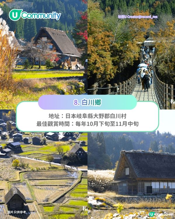 【日本賞楓2026】日本必去10大紅葉名所🍁京都／東北青森／九州／北陸 附最佳觀賞時間