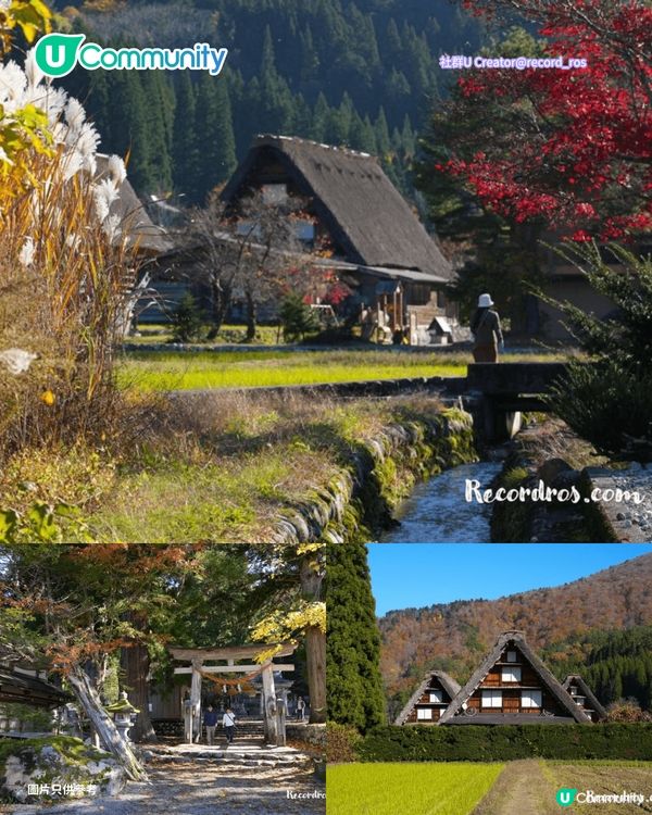 【日本賞楓2026】日本必去10大紅葉名所🍁京都／東北青森／九州／北陸 附最佳觀賞時間