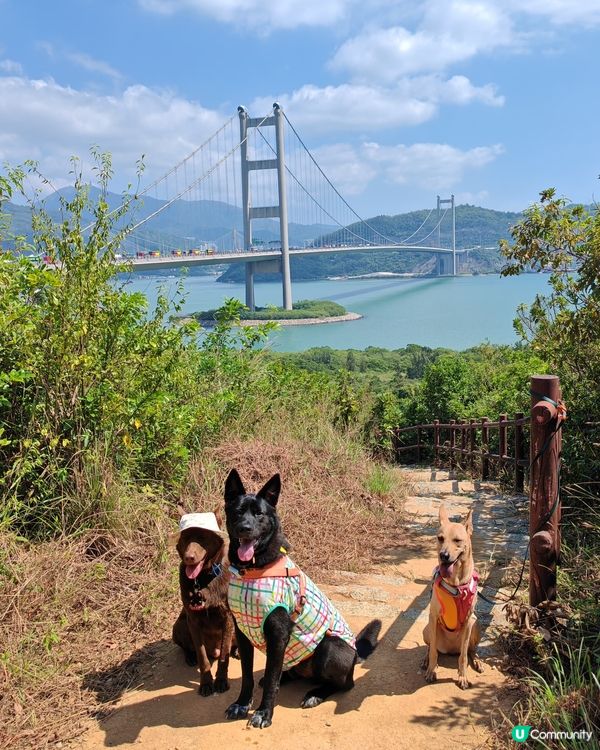 馬灣慢活遊☀️