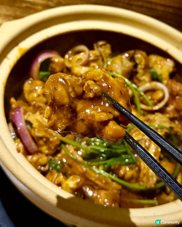 [勞蘇食]惹味雞煲配高質食材😮‍💨