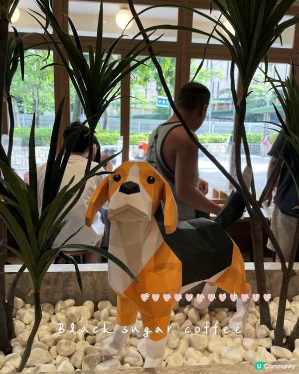 🐶放假帶埋狗狗去chill飲咖啡，寵物友善cafe☕️