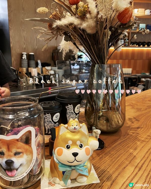 🐶放假帶埋狗狗去chill飲咖啡，寵物友善cafe☕️
