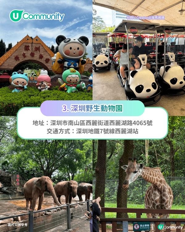 【新皇崗口岸啟用】深圳地鐵7號線食玩買攻略📍大型商場／動物園／兒童遊樂場／夜市
