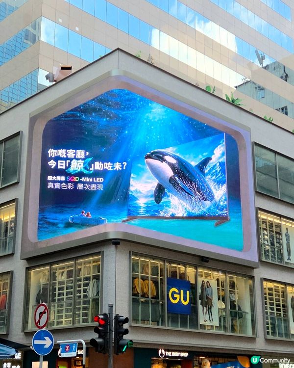 旺角驚現巨型鯨魚！🐳