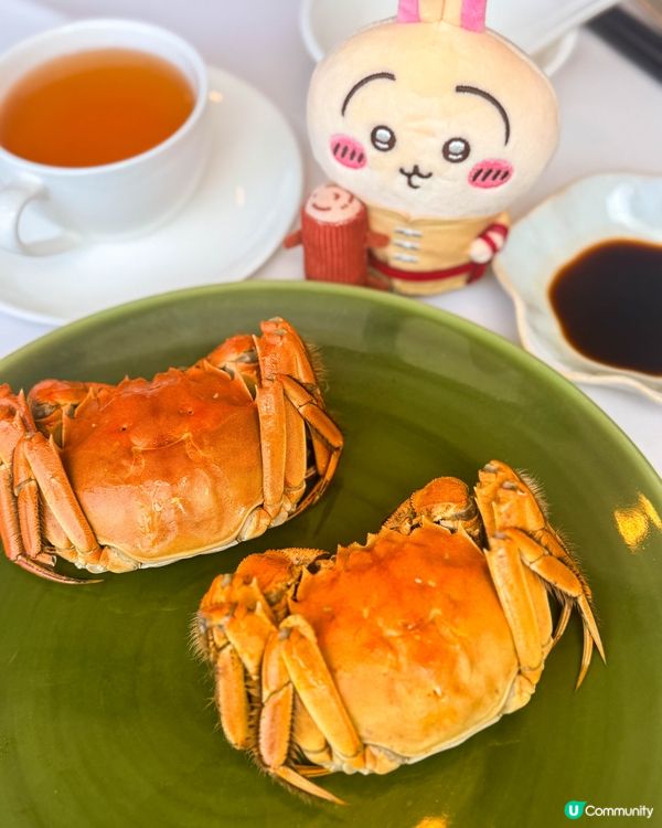 想一餐吃到花膠、斑球和大閘蟹?🦀