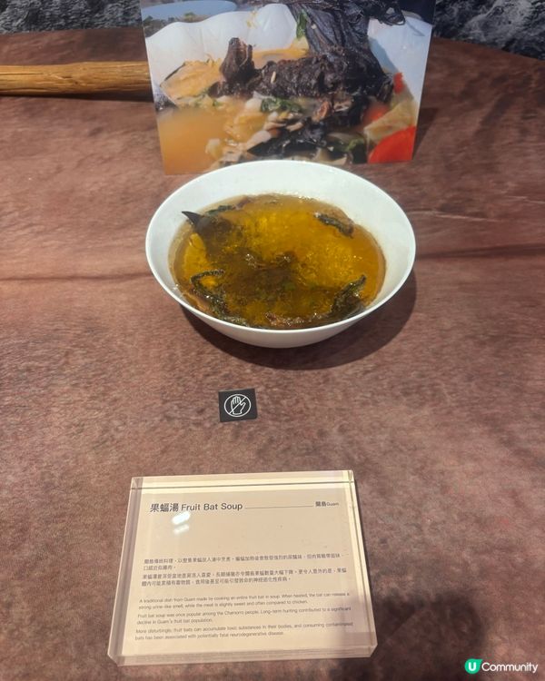 最近Hit到爆既嘔心食物博物館究竟值唔值得去？