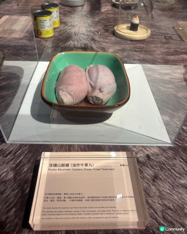 最近Hit到爆既嘔心食物博物館究竟值唔值得去？