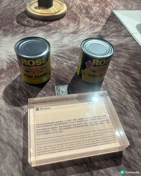 最近Hit到爆既嘔心食物博物館究竟值唔值得去？