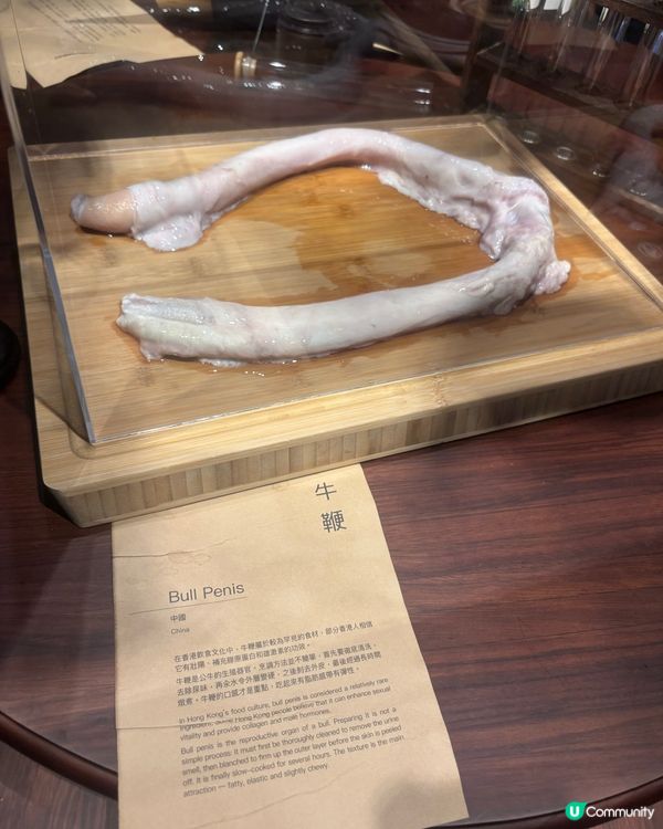 最近Hit到爆既嘔心食物博物館究竟值唔值得去？