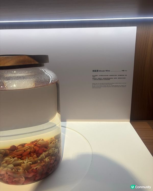 最近Hit到爆既嘔心食物博物館究竟值唔值得去？